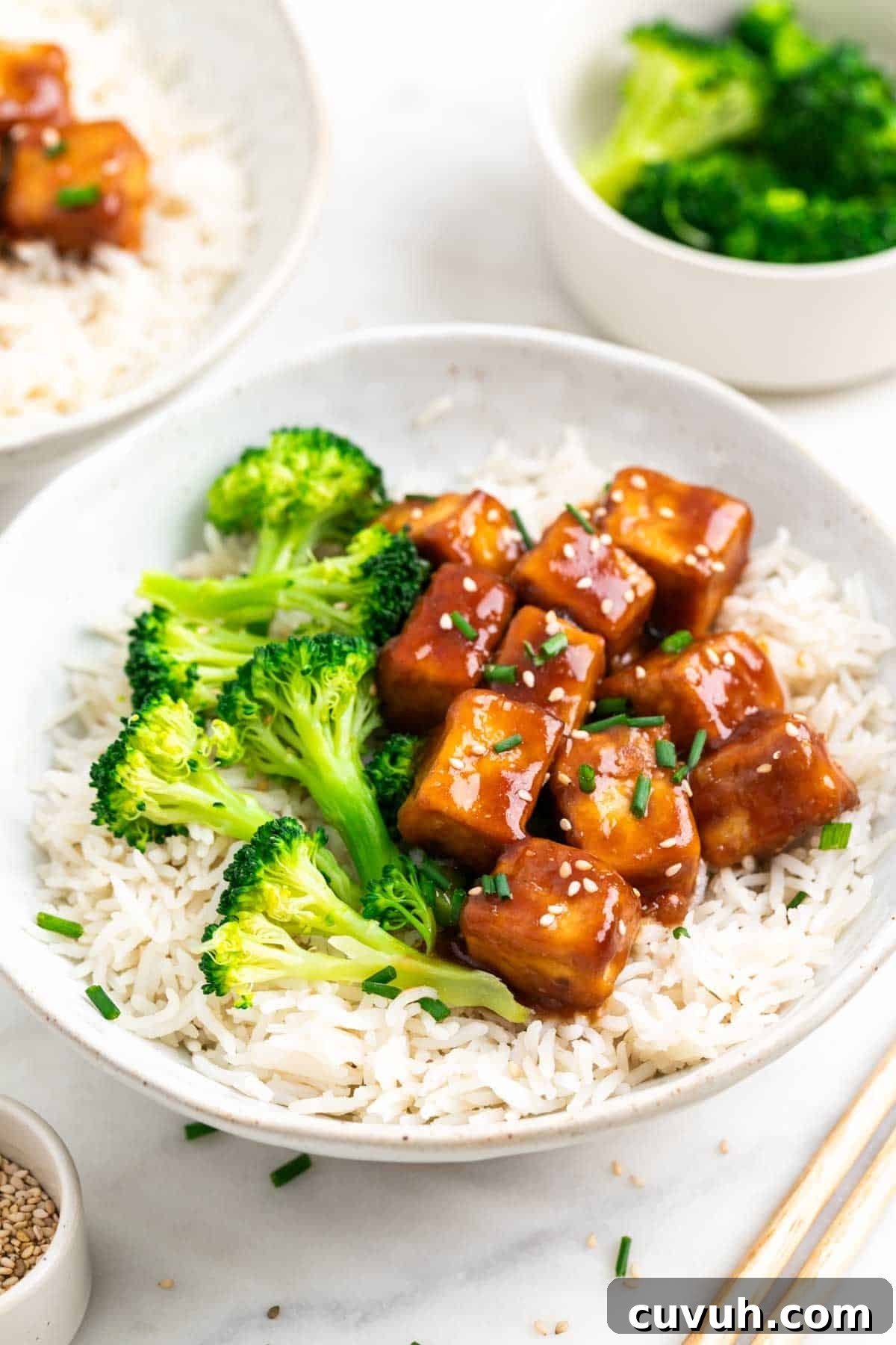 Sticky Teriyaki Tofu Bowl with Sesame and Scallions 10 Bowls with rice, broccoli, and teriyaki tofu served with chopsticks.