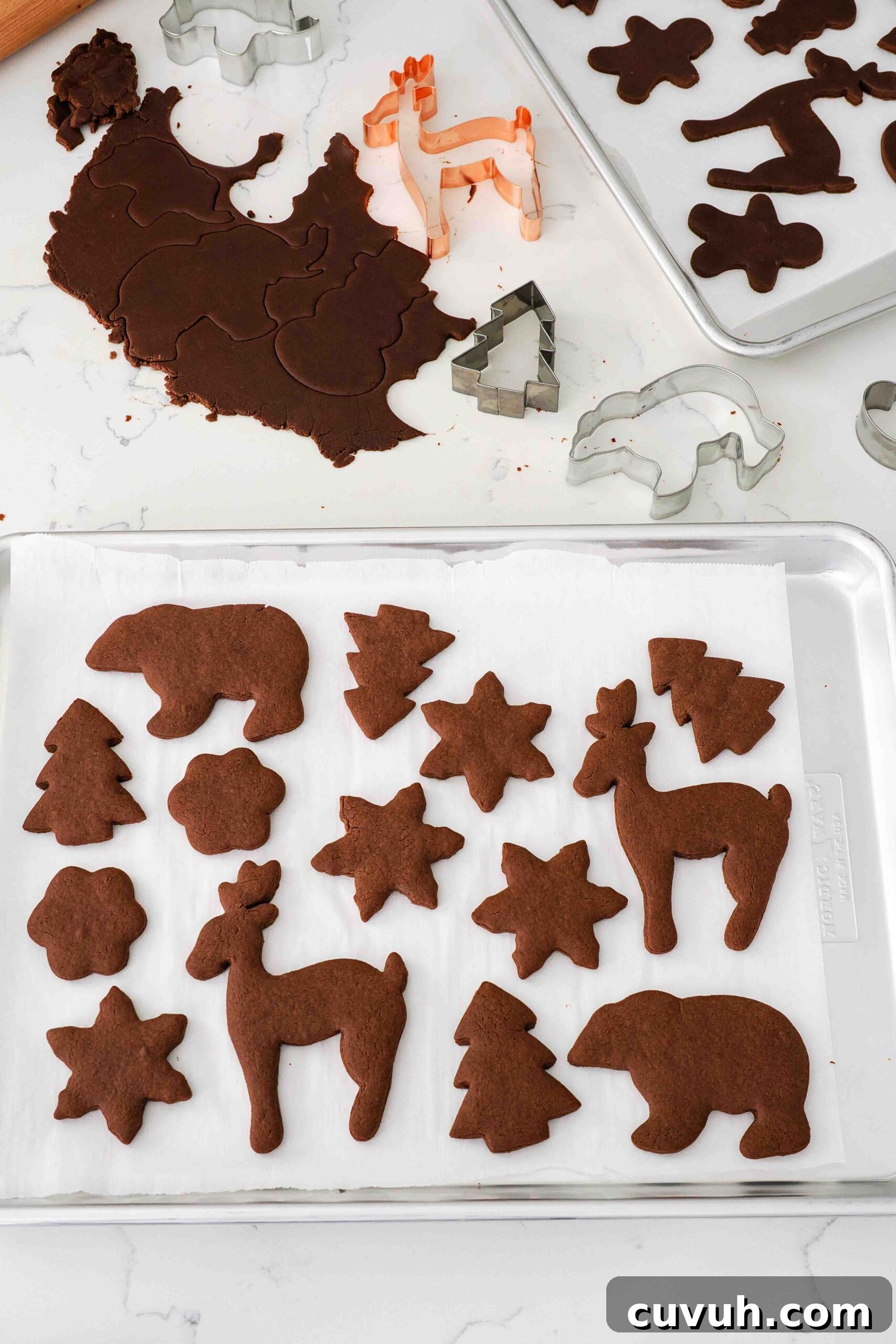 Chocolate Gingerbread Cookies with Cocoa and Warm Spices 7 Baked chocolate gingerbread cookies on a baking sheet.