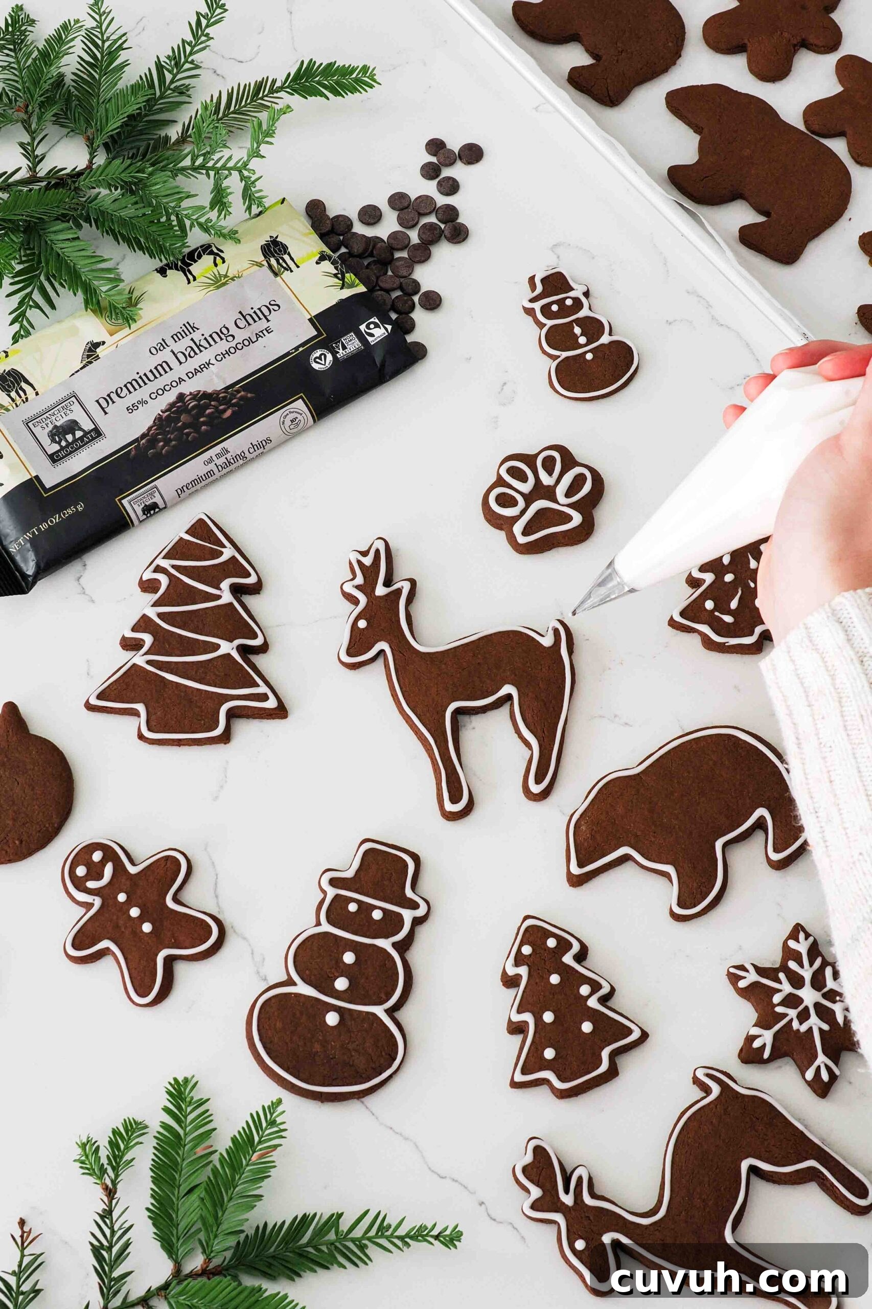 Chocolate Gingerbread Cookies with Cocoa and Warm Spices 8 A hand uses a small piping bag filled with white icing to decorate a gingerbread cookie.