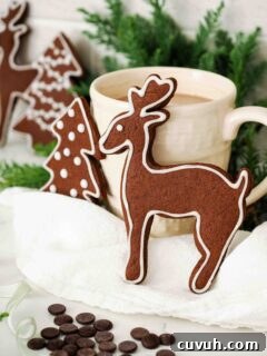 Chocolate Gingerbread Cookies with Cocoa and Warm Spices 9 A chocolate gingerbread cookie in the shape of a reindeer resting against a cream-colored mug of hot cocoa.