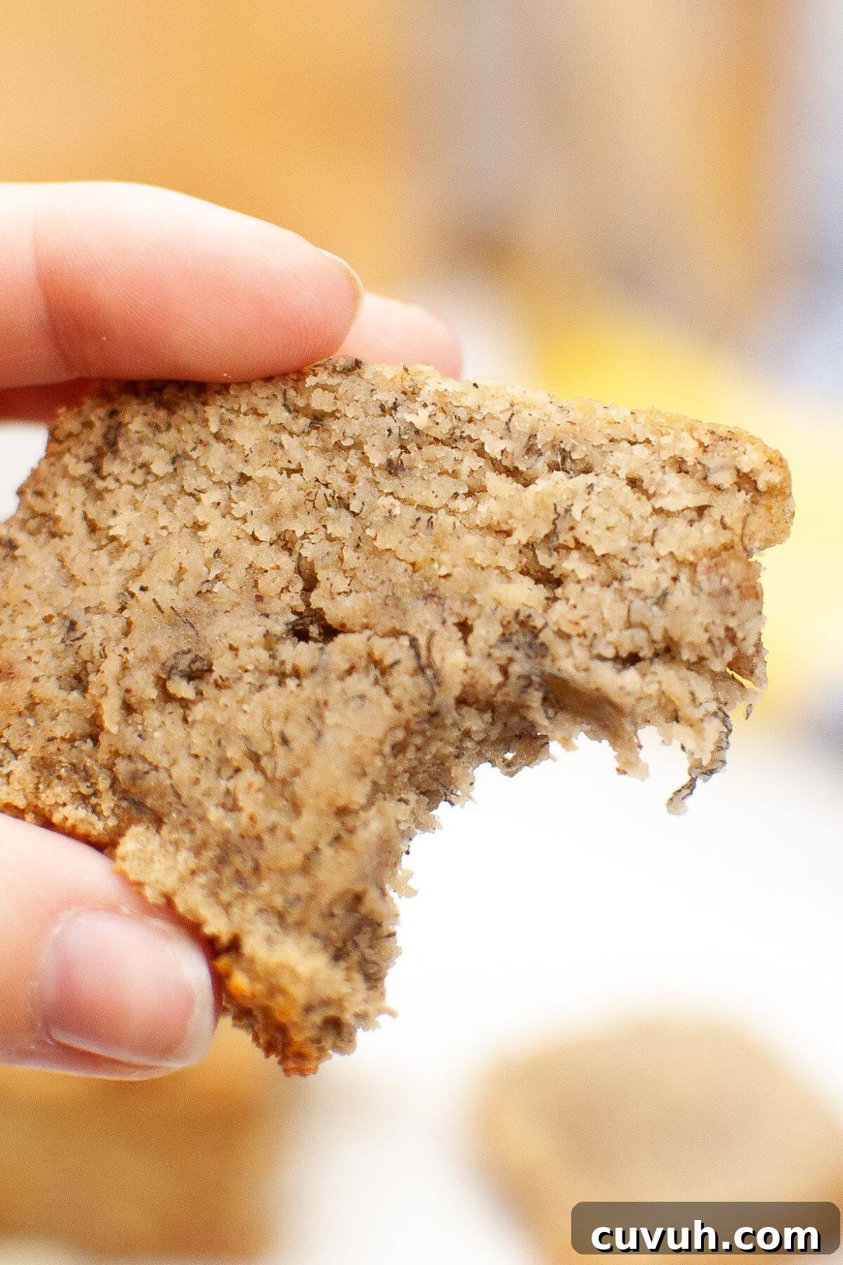 A hand holds a partially eaten slice of bread with a bite taken out of the corner.