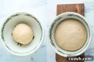 stages of bread dough proofing.