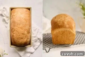 fully baked loaf in pan.