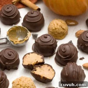 Chocolate pumpkin truffles dipped in chocolate with swirls on top.