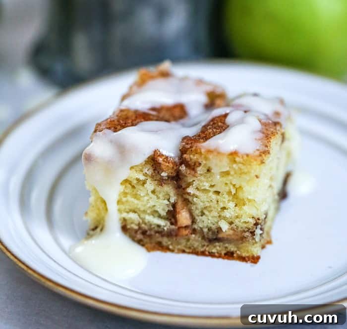 Apple Cinnamon Roll Coffee Cake Recipe | Moist Swirl Coffee Cake 2 Coffee Cake slice
