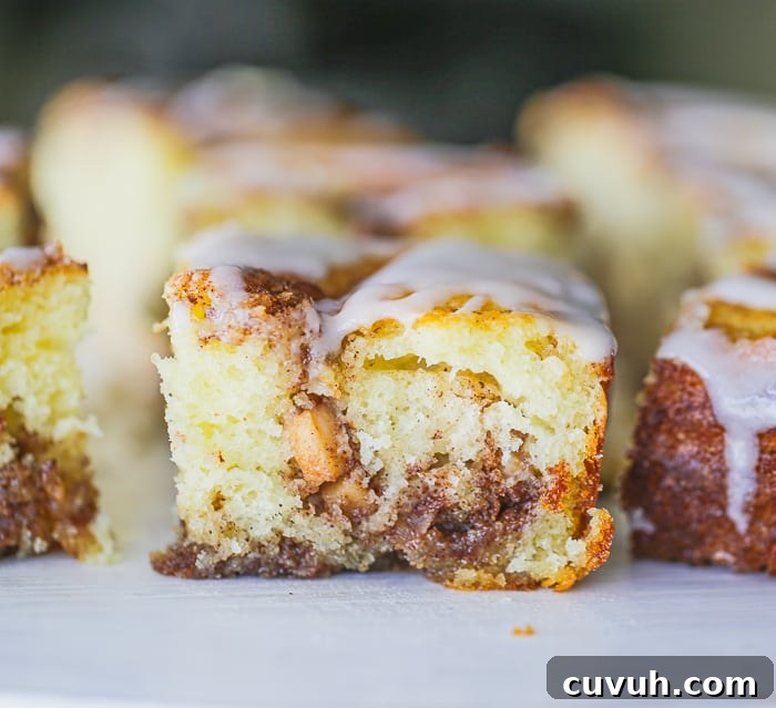 Apple Cinnamon Roll Coffee Cake Recipe | Moist Swirl Coffee Cake 6 Apple Cinnamon Roll Coffee Cake