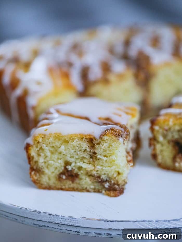 Apple Cinnamon Roll Coffee Cake Recipe | Moist Swirl Coffee Cake 4 Apple Cinnamon slice of coffee cake
