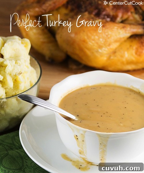 Turkey gravy 4