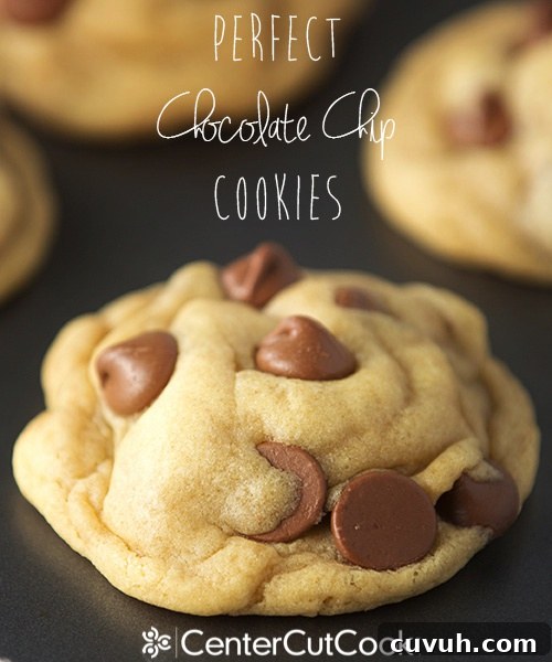 Perfect Chocolate Chip Cookies 6