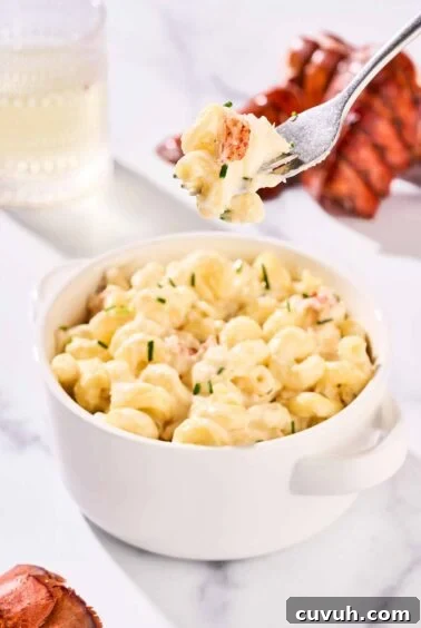 Stovetop lobster mac and cheese with tender lobster, pasta, Gruyère, and mascarpone in a velvety sauce that highlights the seafood flavor.