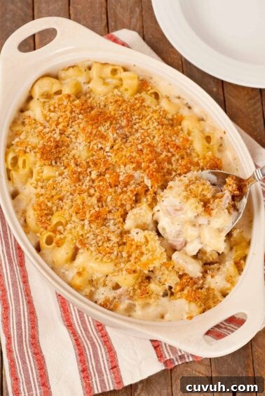 French macaroni and cheese casserole with crisp panko topping and creamy cheese sauce being served from baking dish.