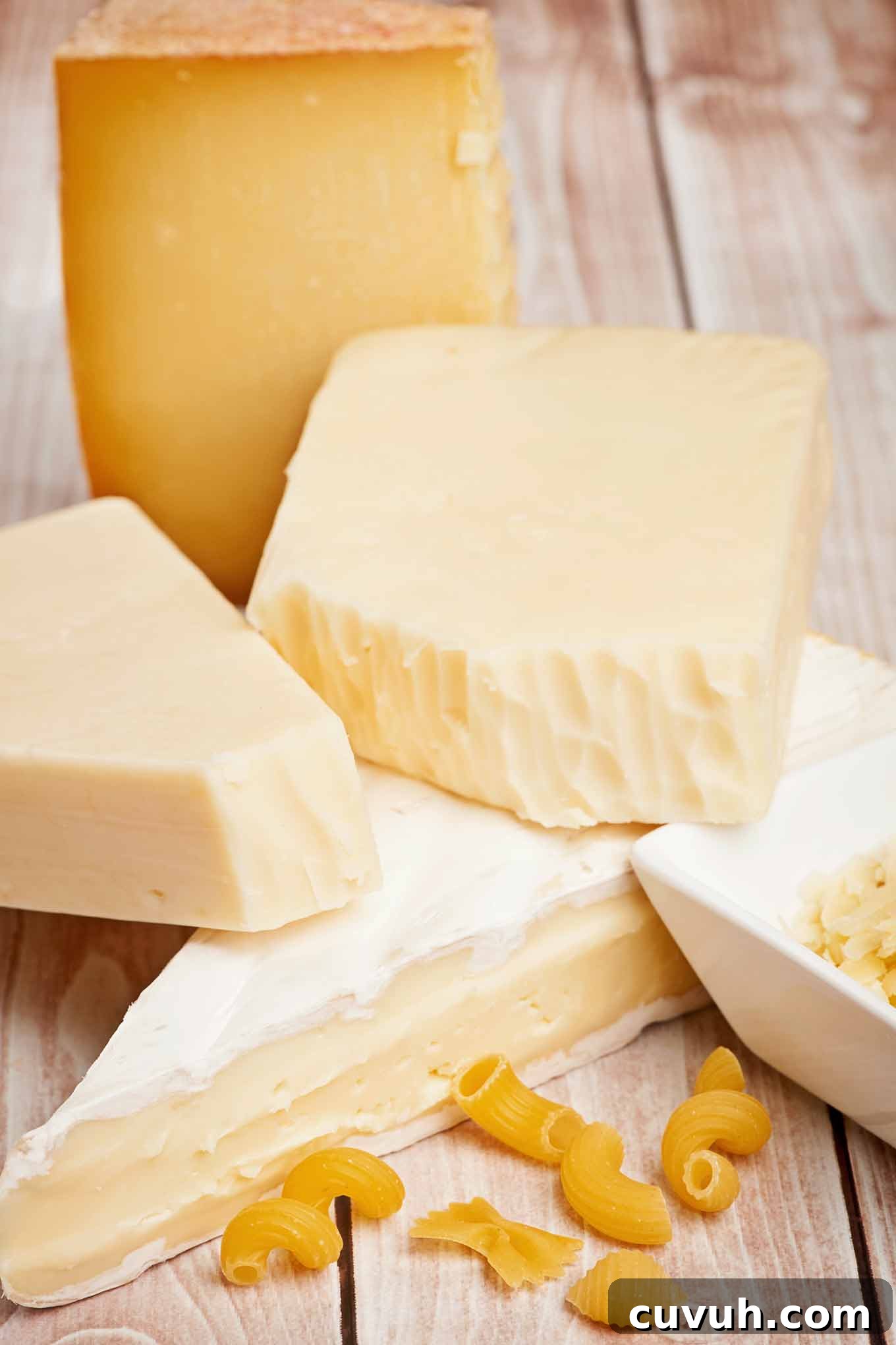 Selection of cheeses including Brie, Gruyère, Asiago, and fontina for homemade macaroni and cheese.