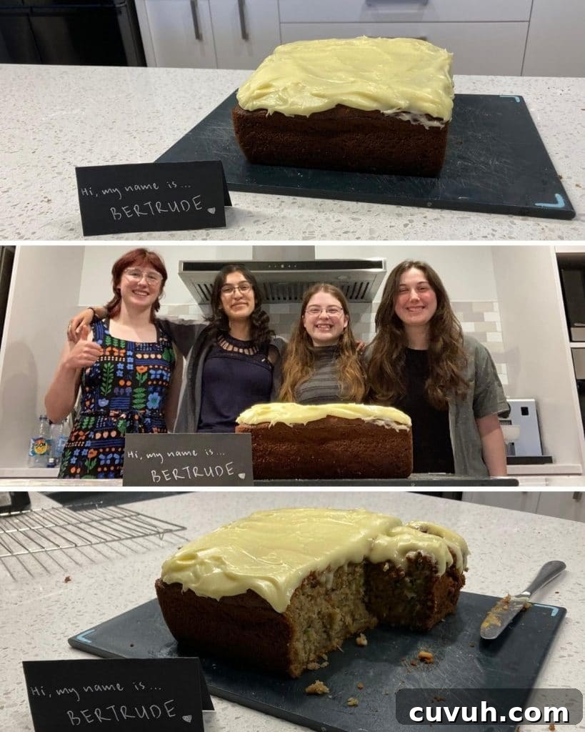Moist Zucchini Bread Recipe with Brown Sugar and Cinnamon 13 the 4 musketeers and their zucchini cake.