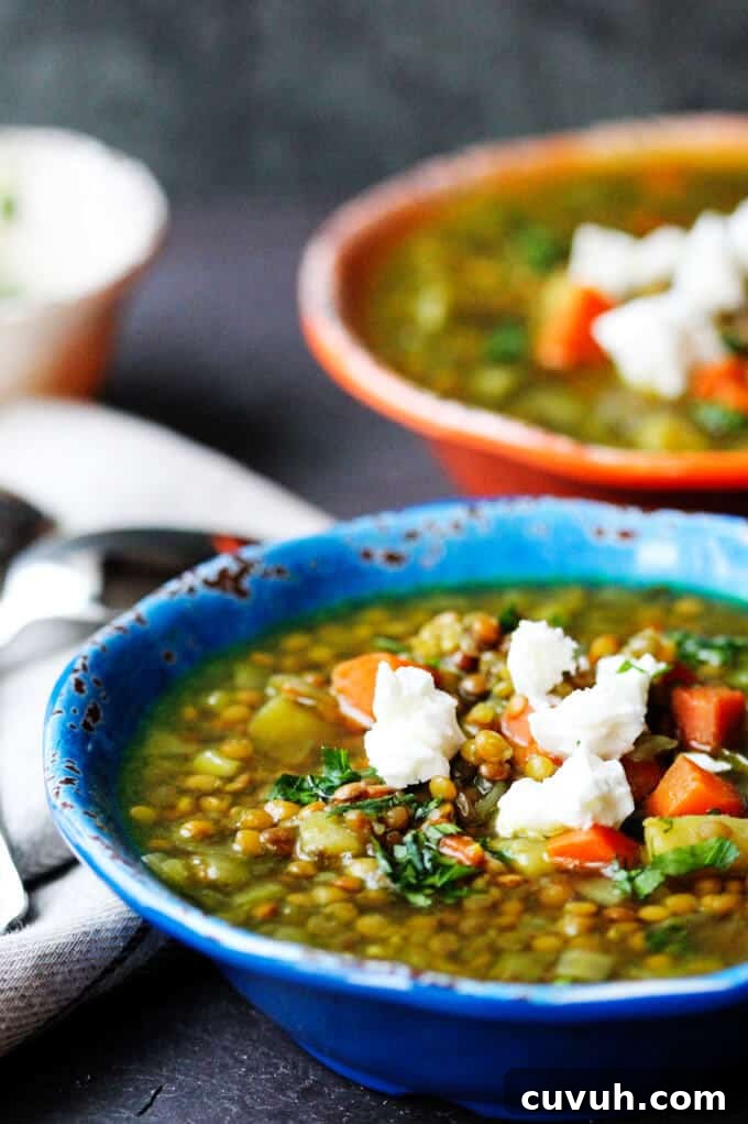 Fakes - Greek Lentil Soup with feta. Fakes (Greek Lentil Soup) in two bowls