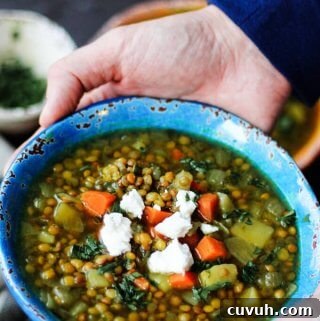 Greek Lentil Soup with Feta (Fakes) — Traditional Recipe 2 greek-lentil-soup-2