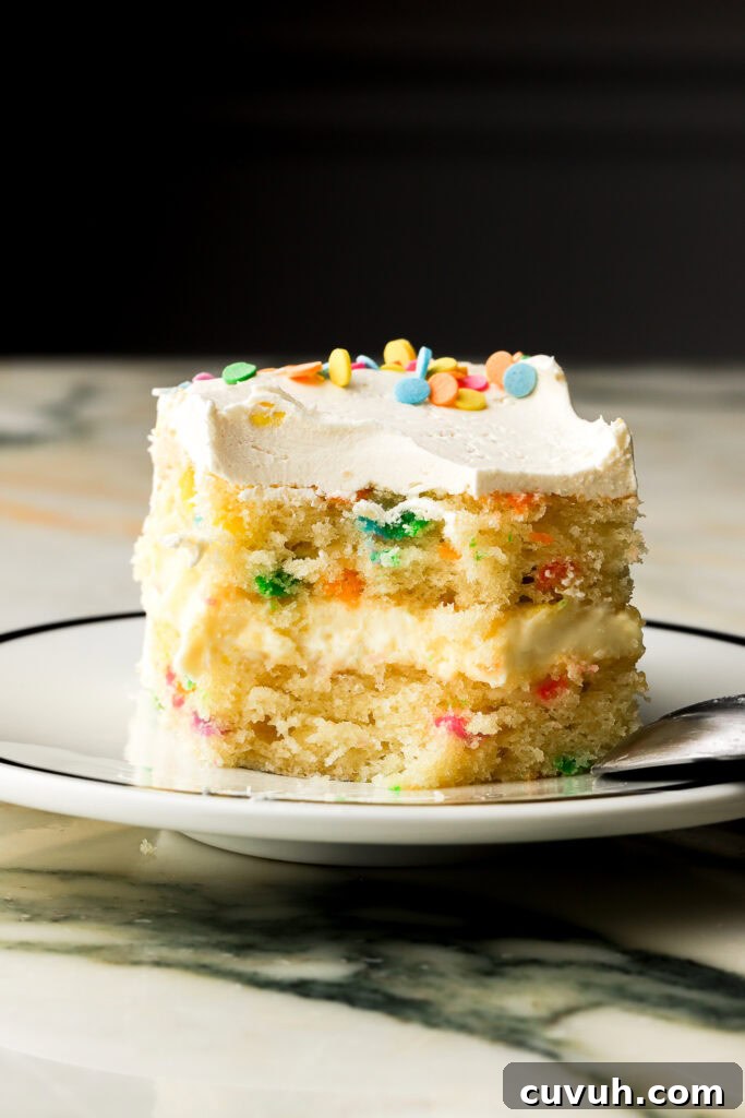 Party-Size Vanilla Birthday Sheet Cake Recipe 28 single layer of birthday cake on a plate with a bite missing, black background
