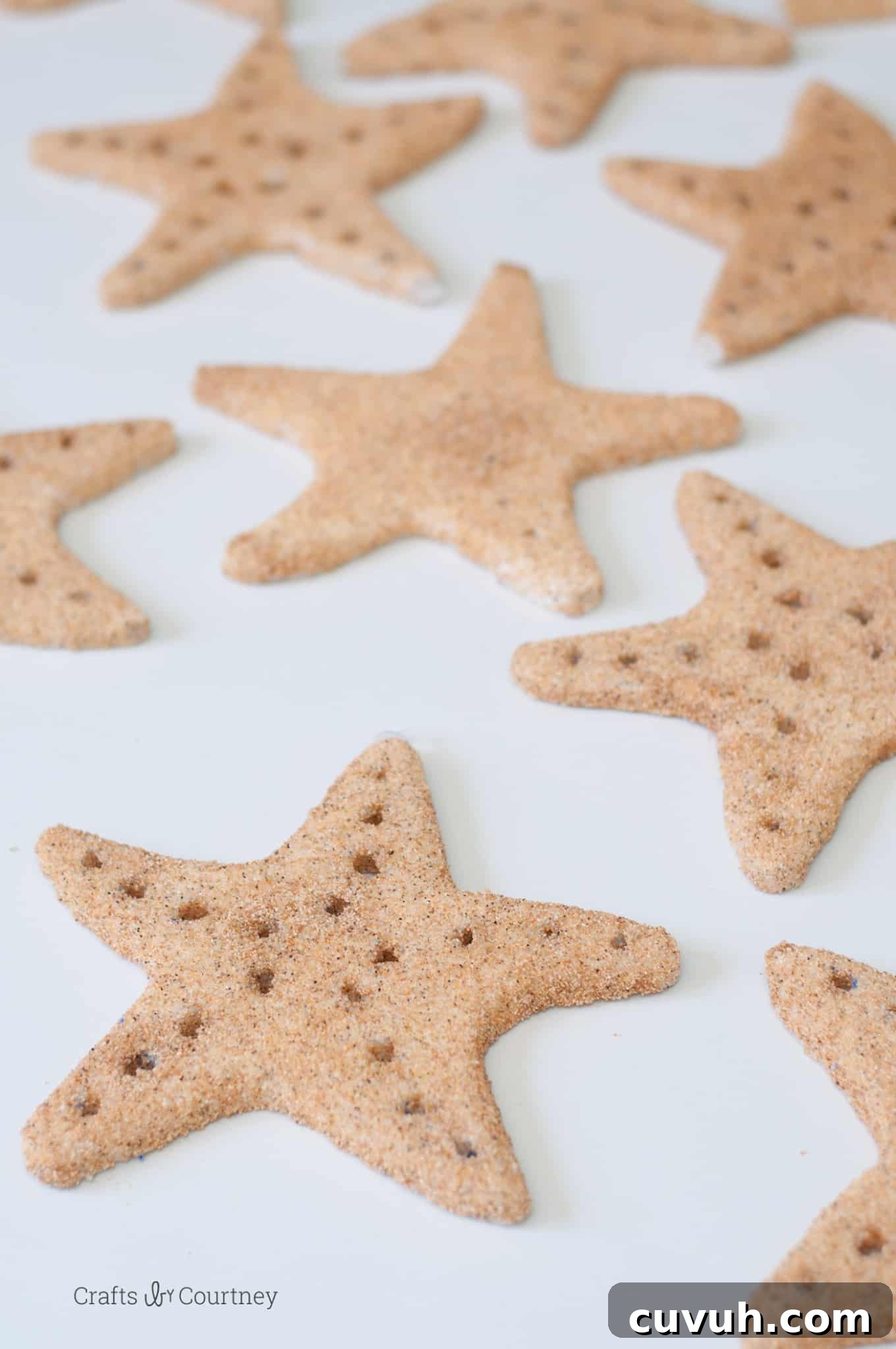 21 Chic DIY Summer Crafts to Refresh Your Home Decor 19 17. DIY Starfish Craft
