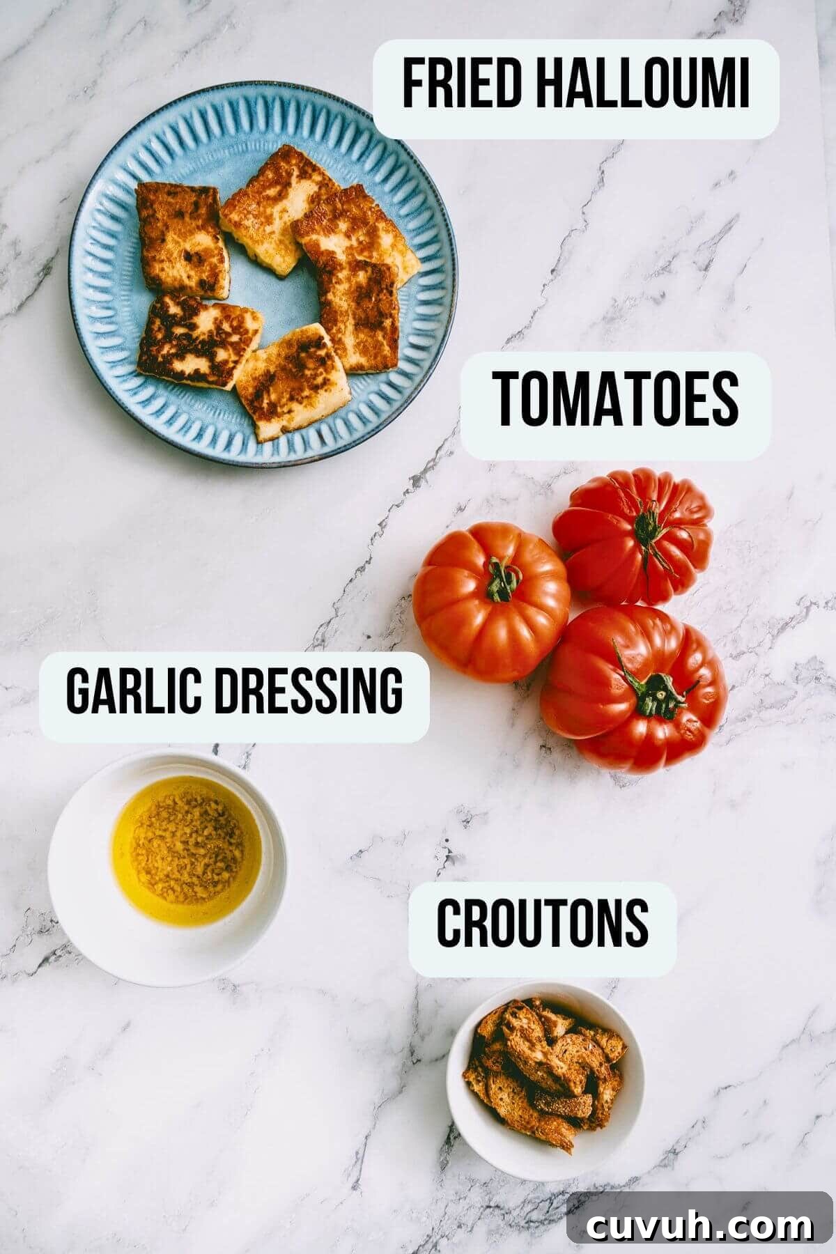 Tomato and Grilled Halloumi Salad with Basil Vinaigrette 4 Flat lay of ingredients for tomato and halloumi salad including fried halloumi, tomatoes, garlic dressing, and croutons.