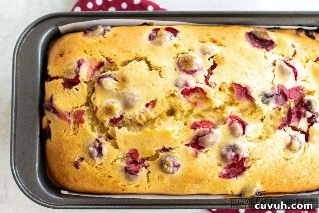 baked cranberry cream cheese bread in pan