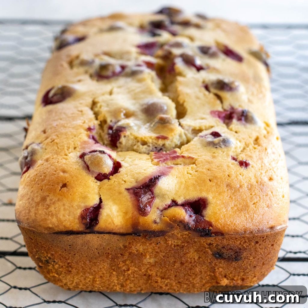 cranberry cream cheese bread cooling on wire rack