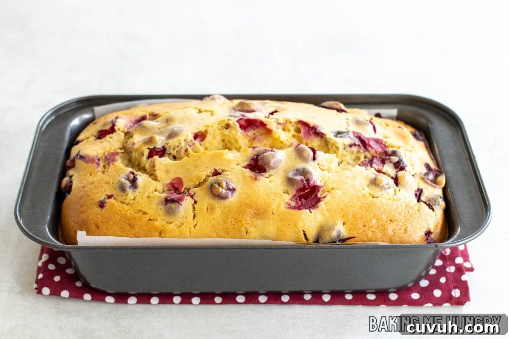 loaf pan with cranberry bread