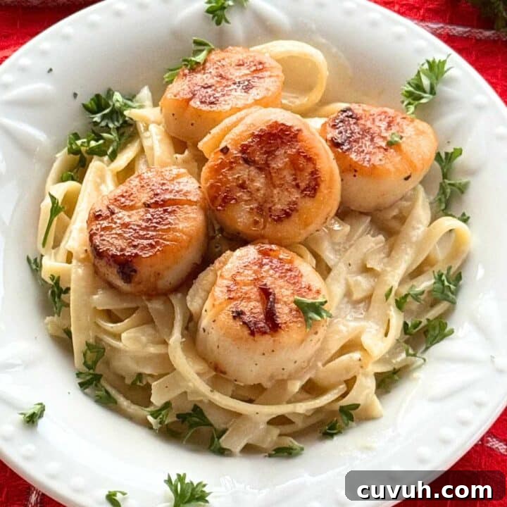 Five seared sea scallops over fettuccine alfredo garnished with parsley in a white bowl.