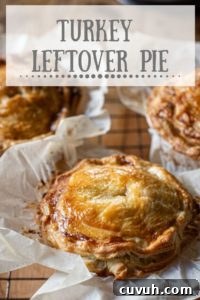 Turkey Leftover Pie Recipe: Zero-Waste Christmas Dinner Idea 2 Small golden brown turkey pie in baking paper