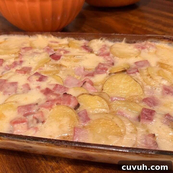 Scalloped Potatoes With Ham
