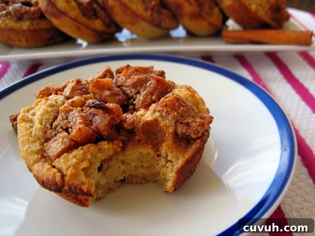 apple-fritter4 apple-fritter