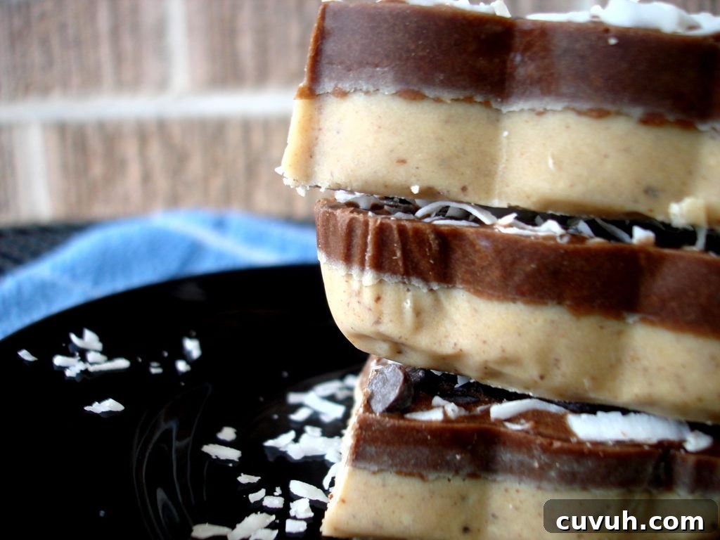 double-fudge1 double-layered-fudge