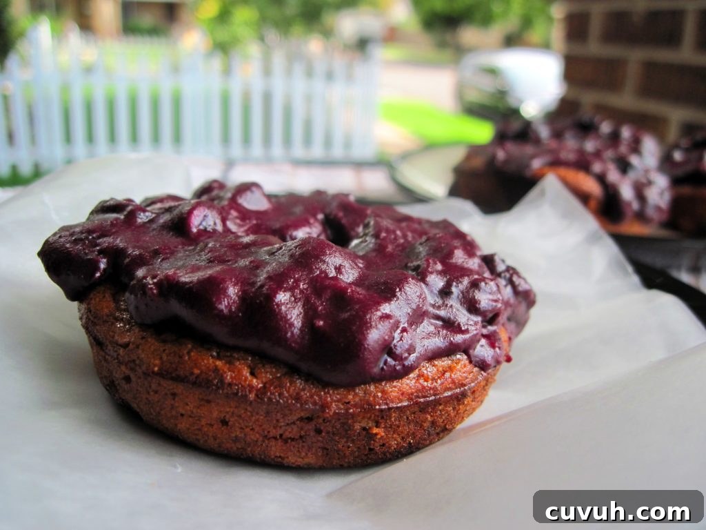 blueberry-donuts5 blueberry-donuts