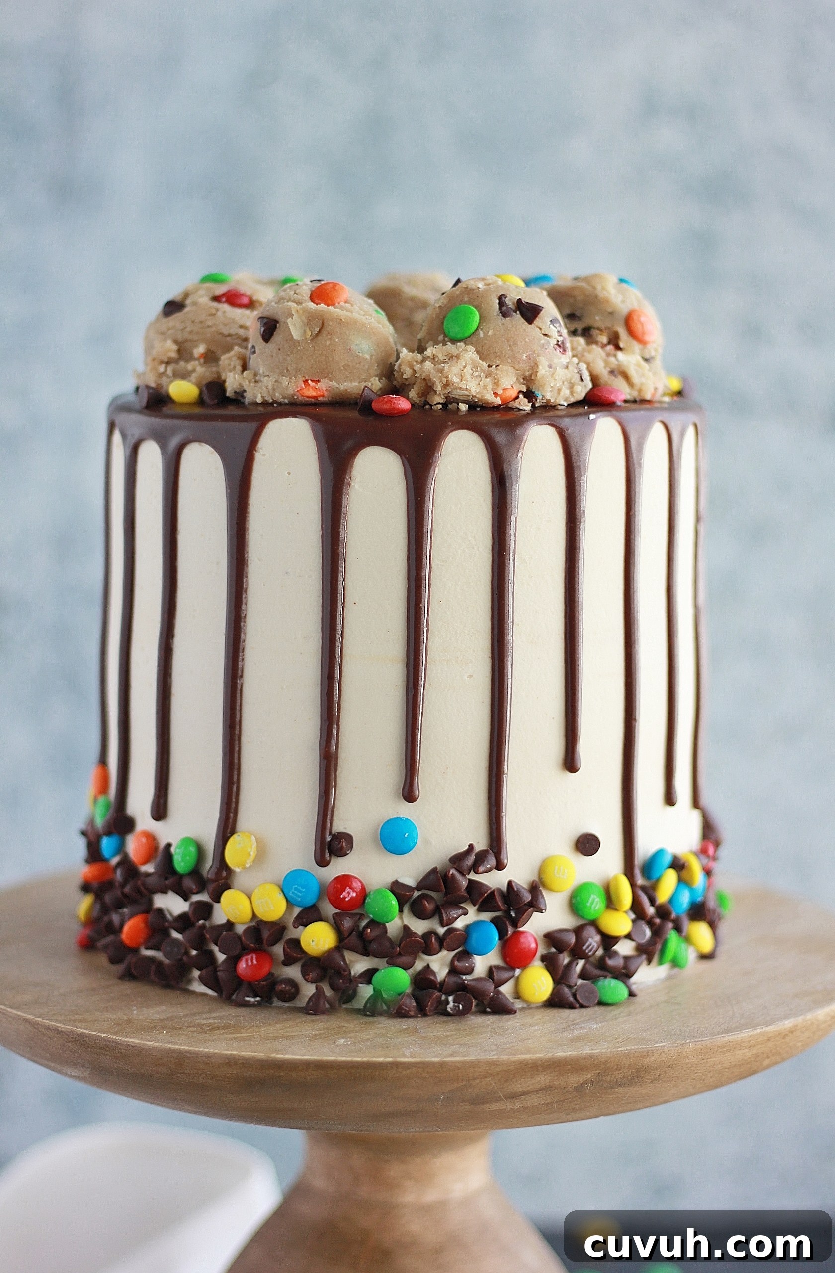 Monster Cookie Cake Recipe: Chewy, Candy-Packed Dessert 4 img 4467 3