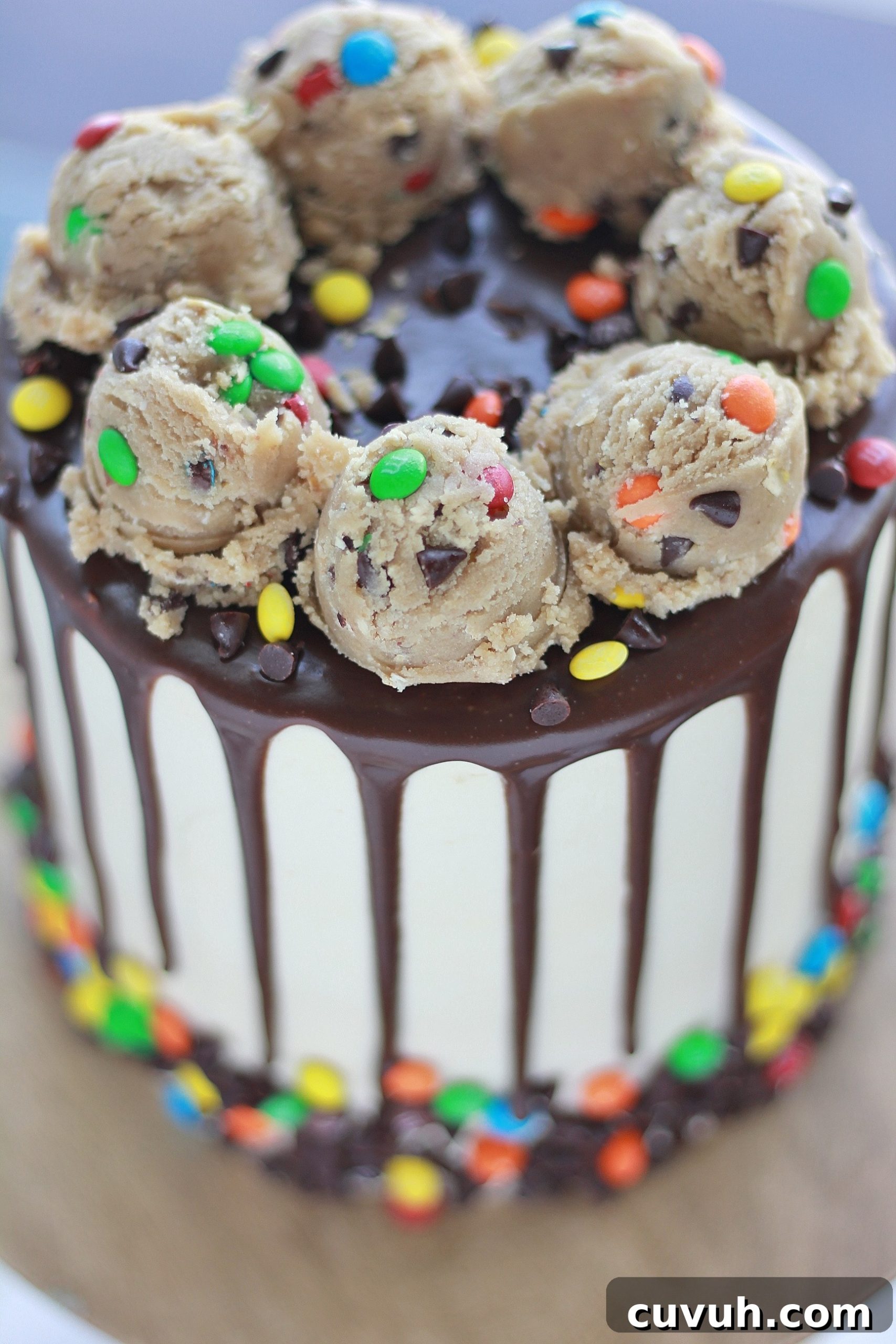 Monster Cookie Cake Recipe: Chewy, Candy-Packed Dessert 6 img 4467 5 scaled