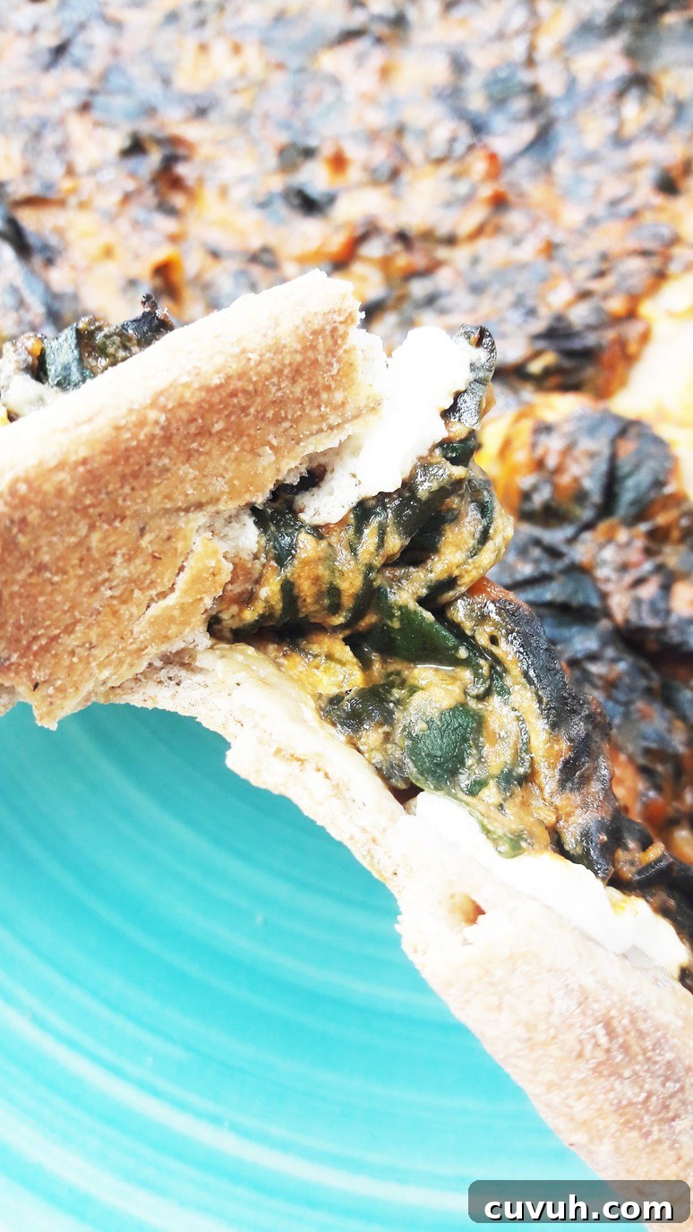 Whole Wheat Palak Paneer Pizza Recipe: Indian Spinach Cottage Cheese Pizza 5 Indian wholewheat palak paneer pizza.
