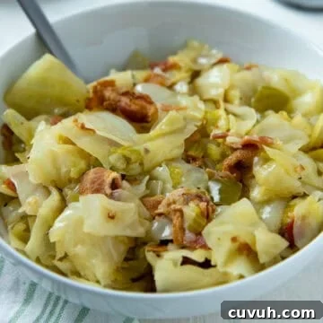 Cooked cabbage in white bowl.