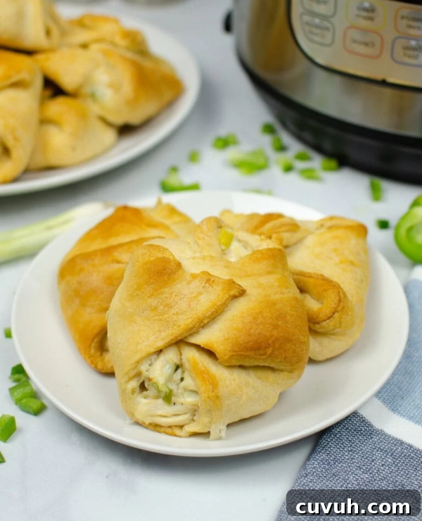 Roundup Image for Crescent Roll Recipes 