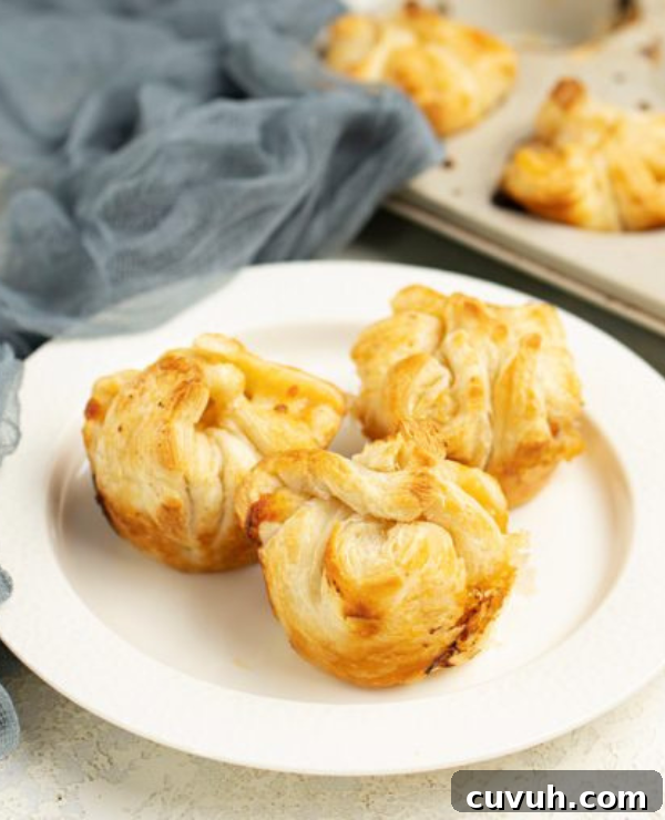 Roundup Image for Crescent Roll Recipes 