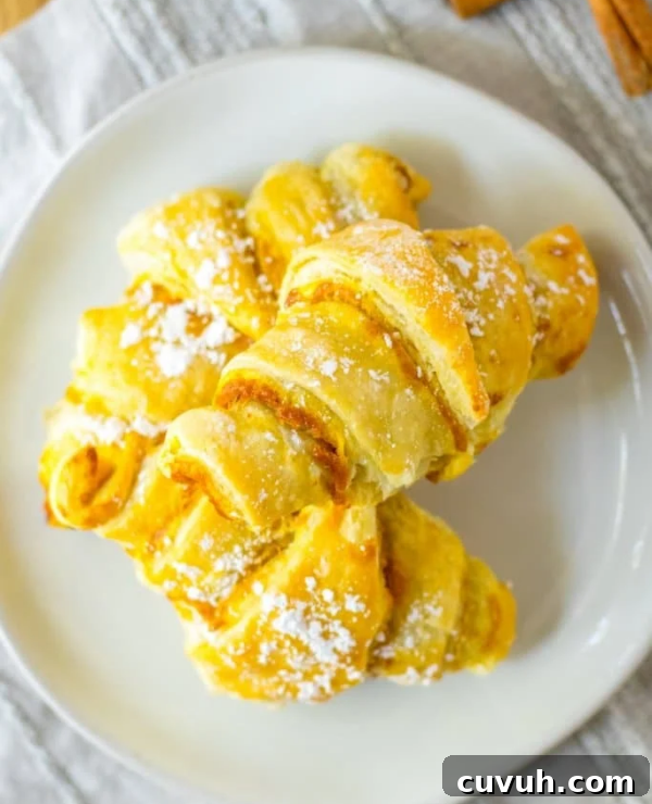 Roundup Image for Crescent Roll Recipes 