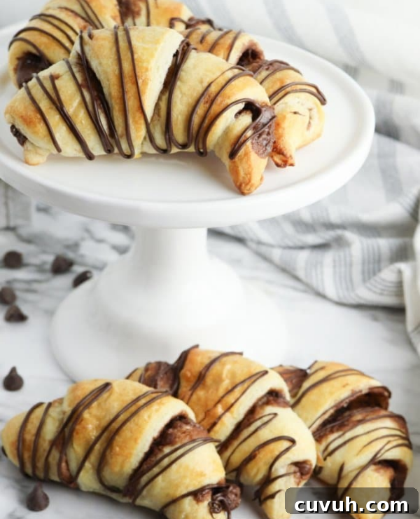 Roundup Image for Crescent Roll Recipes 