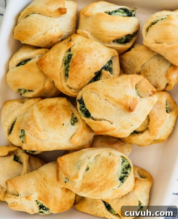Roundup Image for Crescent Roll Recipes 