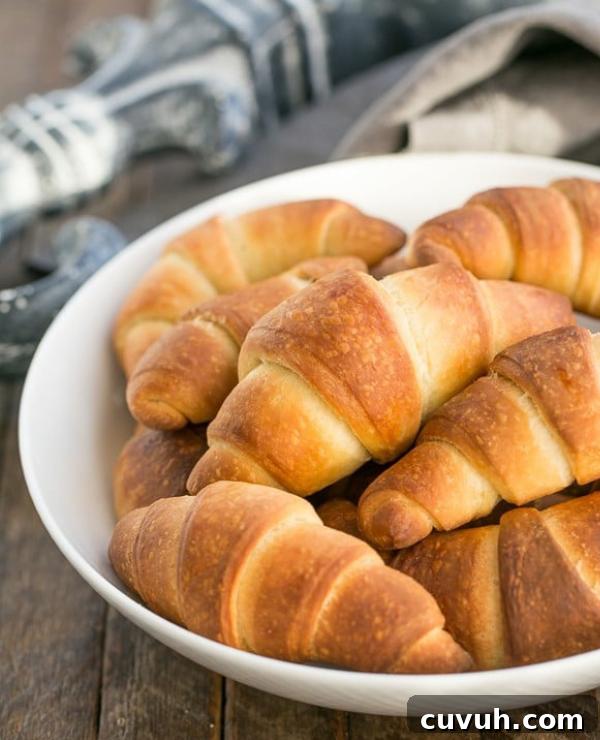 Roundup Image for Crescent Roll Recipes 