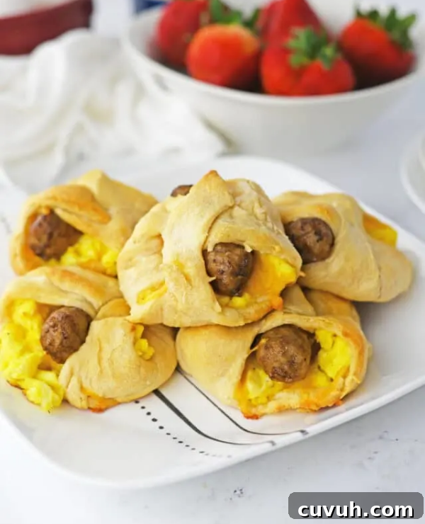 Roundup Image for Crescent Roll Recipes 