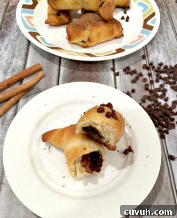 Roundup Image for Crescent Roll Recipes 