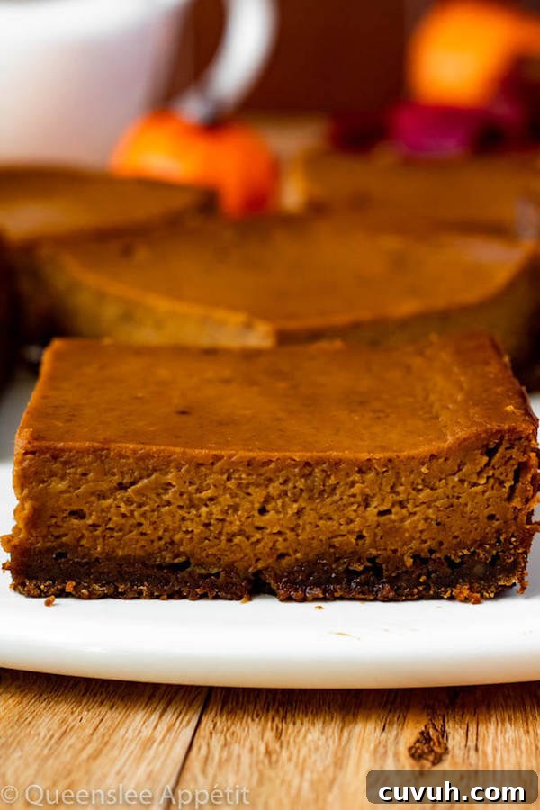 Pumpkin Pie Bars with Maple Pecan Praline Sauce Recipe 11 Pumpkin Pie Bars with Gingersnap Crust