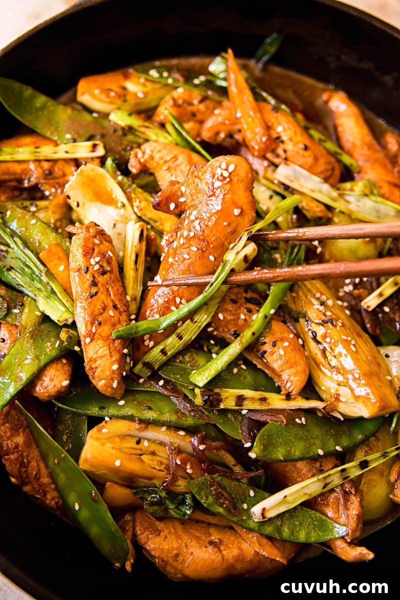 Teriyaki Chicken Stir-Fry with Charred Scallions and Jasmine Rice 4 Teriyaki Chicken Stir Fry close up