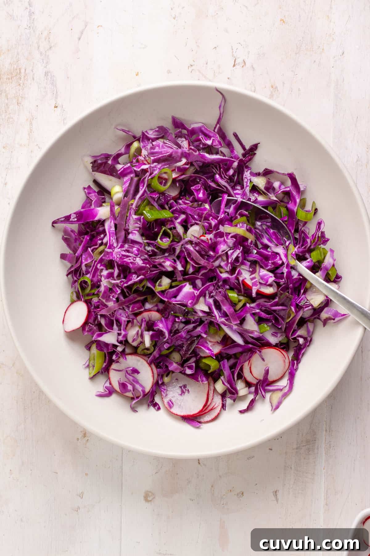 Shredded red cabbage, sliced radishes and scallions in a medium bowl.