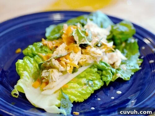 thai chicken wraps