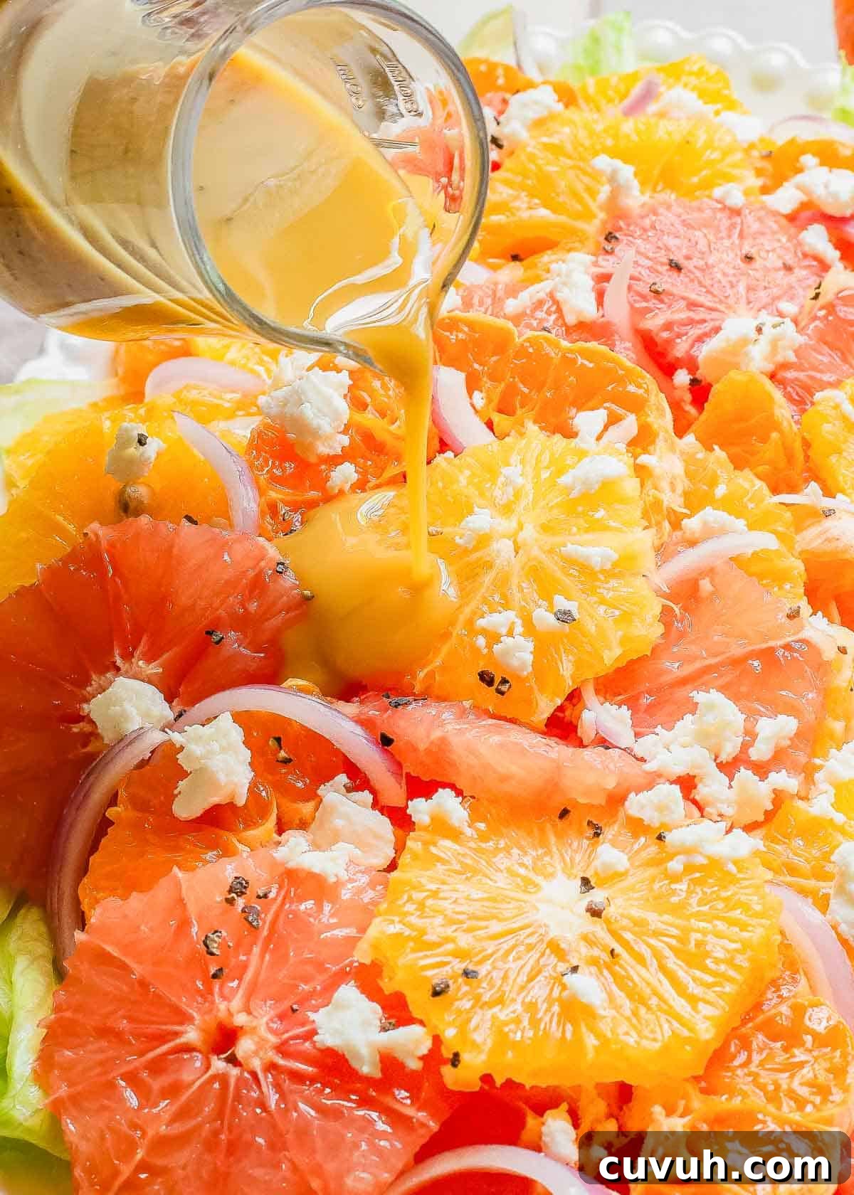 Refreshingly Zesty Citrus Salad Recipe with Honey-Lime Dressing 5 A plate of oranges and grapefruits over salad with a dressing being poured on it.