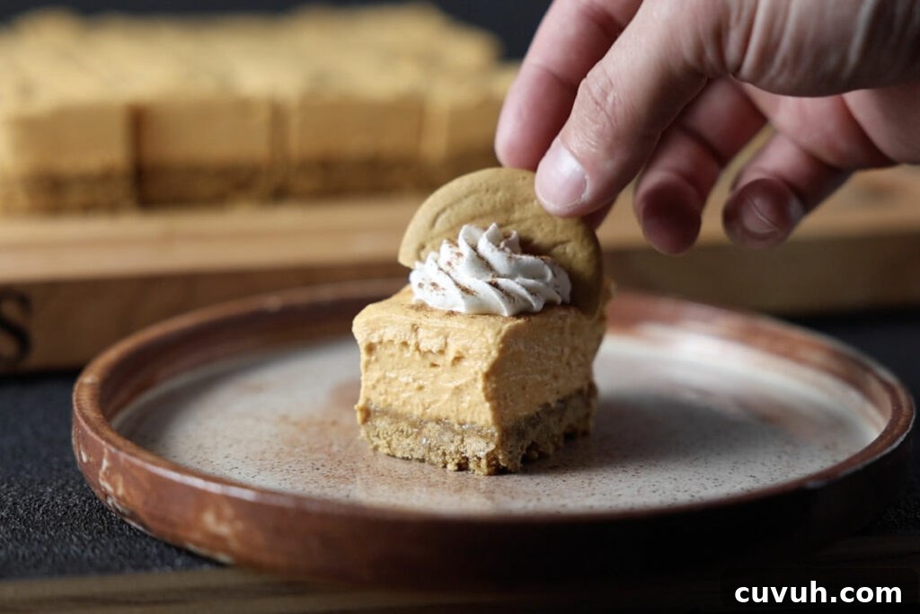 Topping the no bake pumpkin cheesecake bars with whipped cream and a gingersnap cookie.