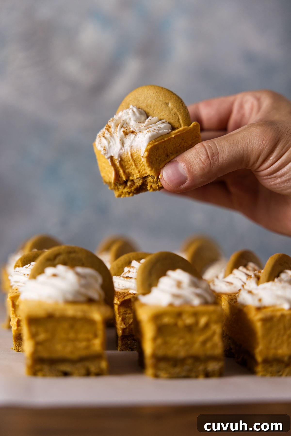 Holding a pumpkin cheesecake bar with a bite taken out of it.